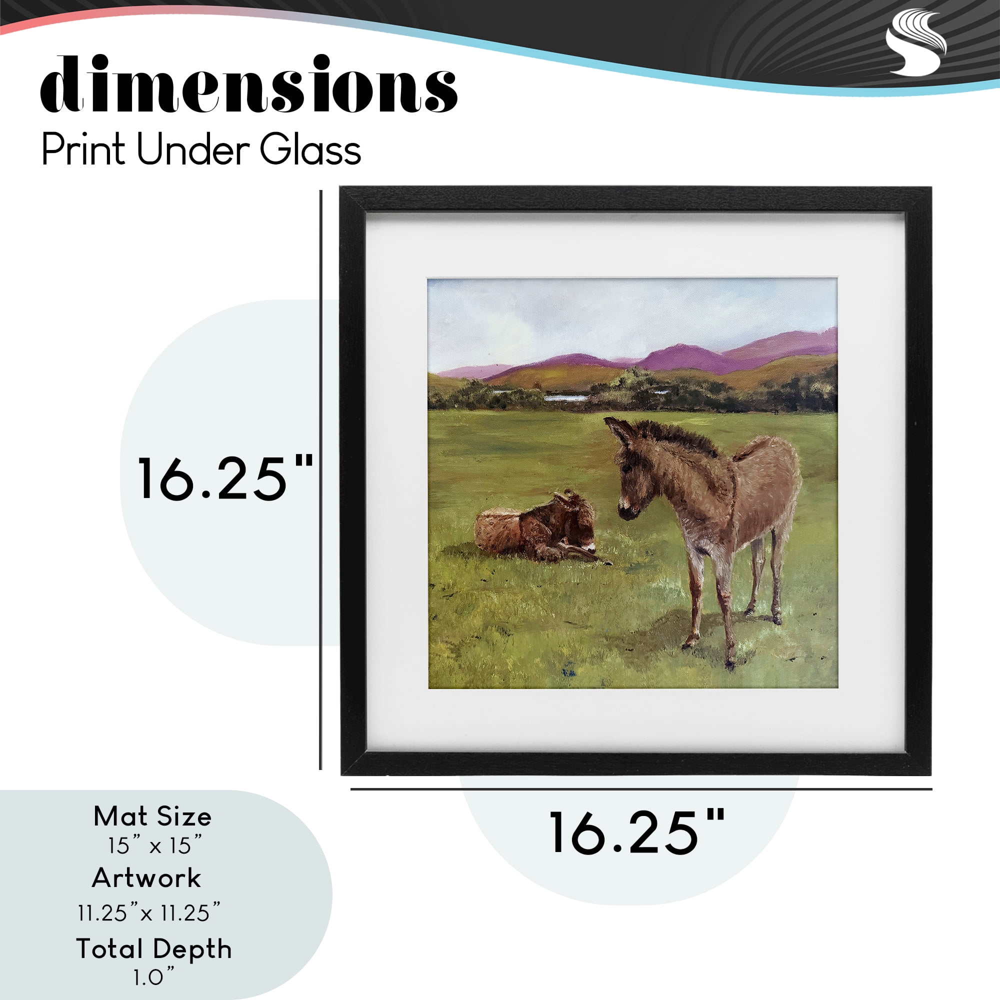 Donkey Duo in Pasture Black Framed Print Under Glass, design by Patricia Reynolds