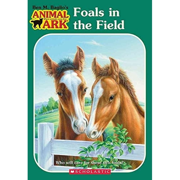 Pre-Owned Animal Ark #24: Foals in the Fields (Paperback) by Ben M Baglio