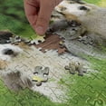 thumbnail image 4 of Ambesonne Dog Jigsaw Puzzle, Puppy Family in Garden, Heirloom-Quality Fun Activity for Family Durable Cardboard, 1000 pcs, Cream Grey Fern Green, 4 of 5