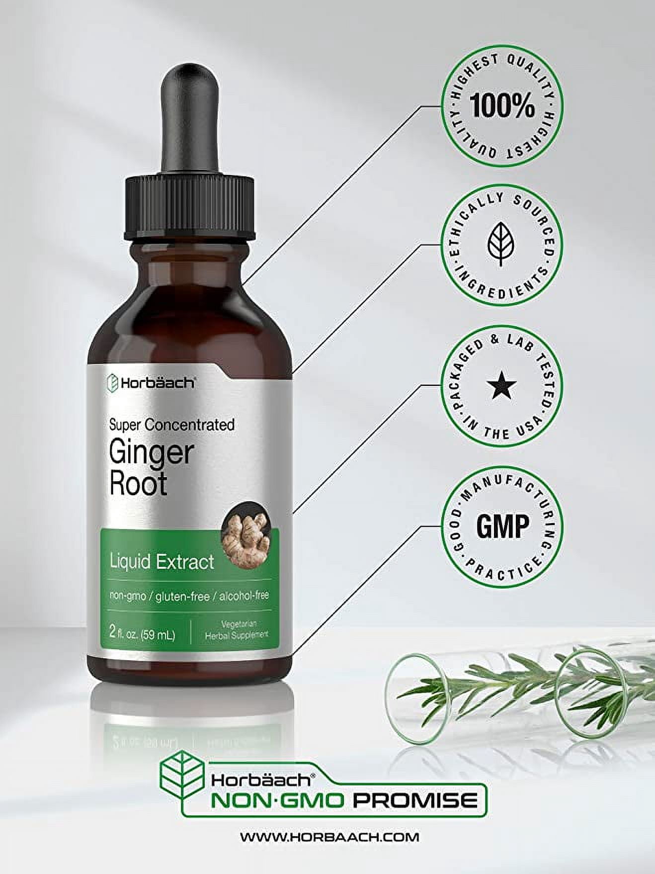 Horbaach, Ginger Root Supplement, Liquid Extract, 2 fl oz