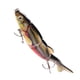 thumbnail image 2 of Pesca con crankbait y anzuelo, 5 cm /, 2 of 5