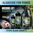 thumbnail image 2 of 3 Pack Microbe-Lift Pond Algaway 5.4 Algaecide for Ponds Stops Algae Growth [Pond Algaecides, Bulk Pond Supplies, Microbe-Lift] 48 oz (3 x 16 oz), 2 of 4