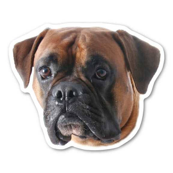 Boxer Dog Magnet
