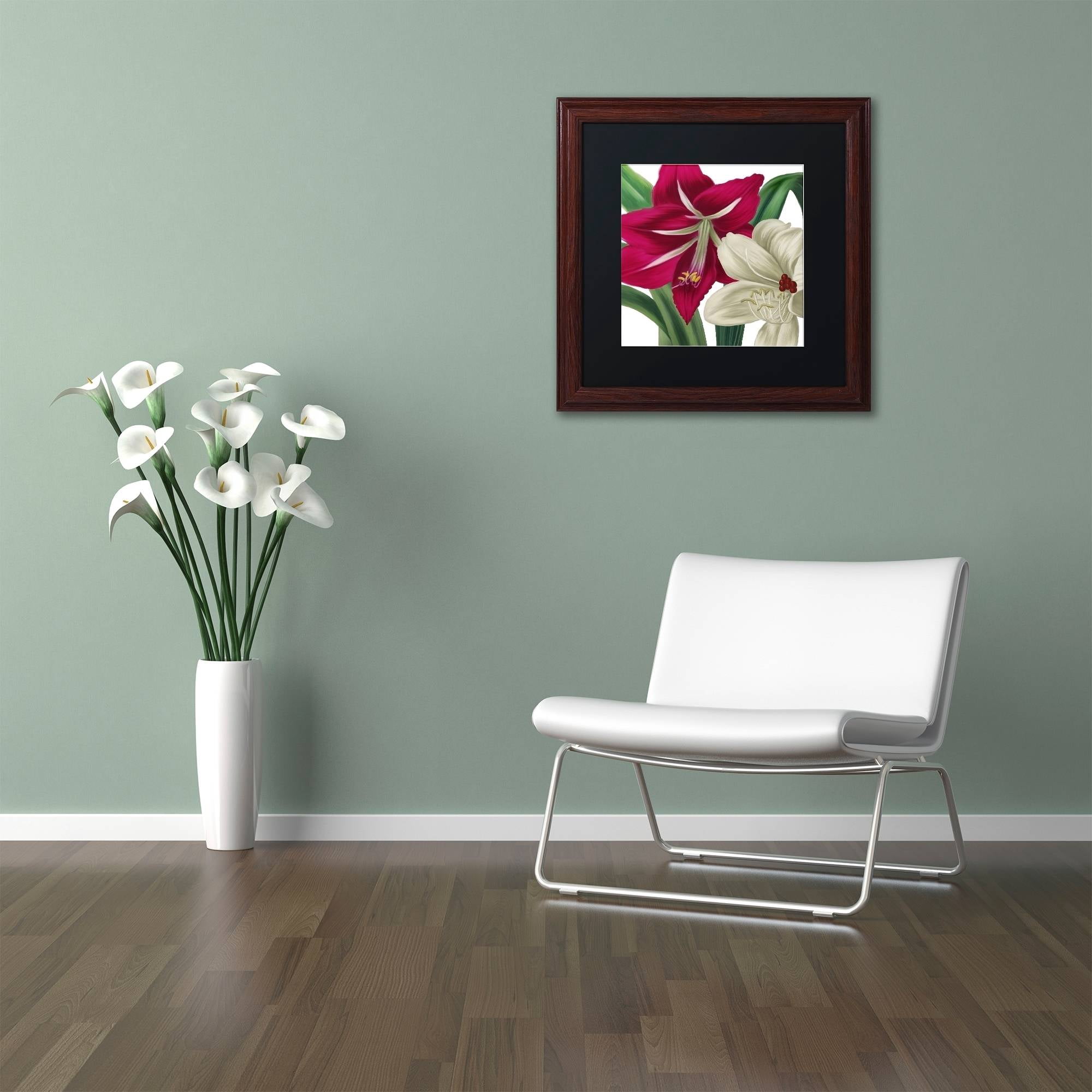 Trademark Fine Art "Christmas Amaryllis I" Canvas Art by Color Bakery Black Matte, Wood Frame