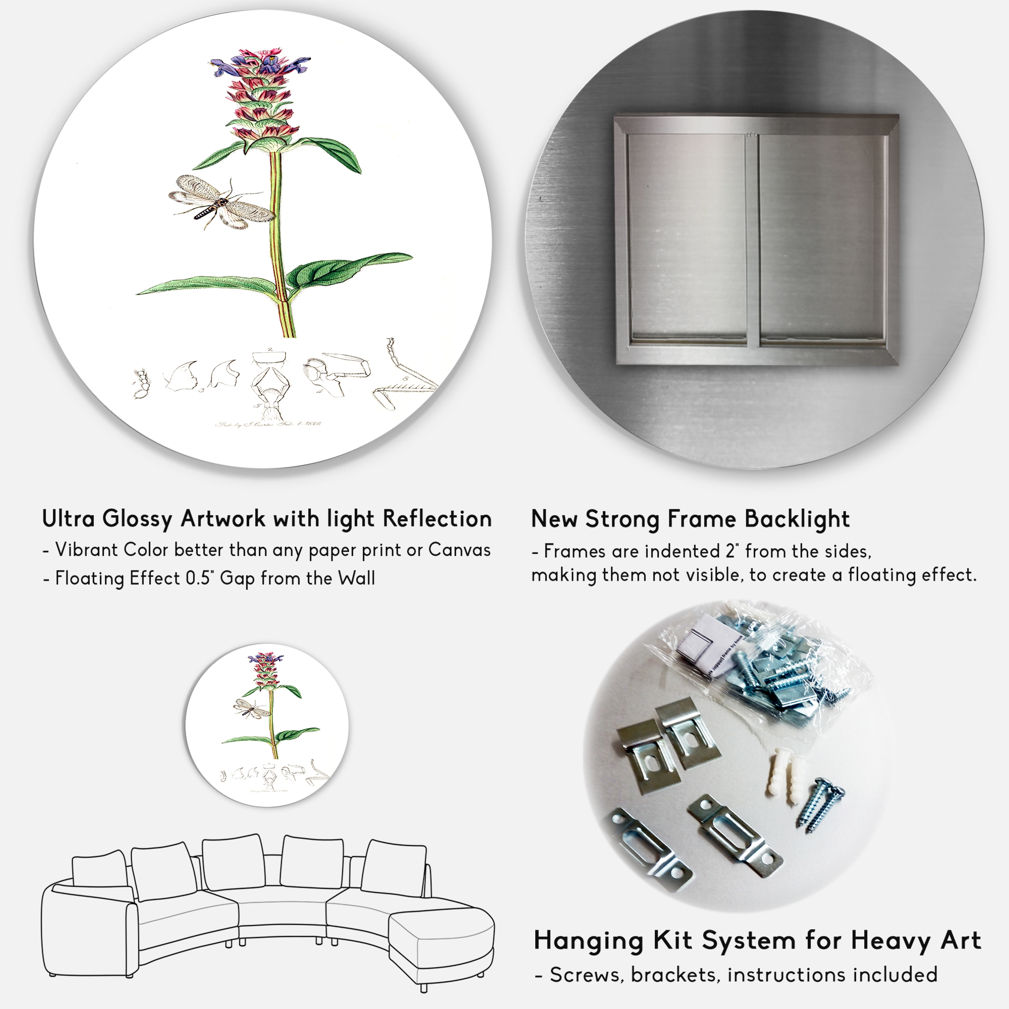 Designart 'Ancient Insects and Plants II' Farmhouse Circle Metal Wall Art 11x11 - Disc of 11