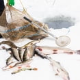 thumbnail image 4 of AMERTEER 1 Set Fish Landing Net Aquarium Fish Net Long Handle Aquarium Fish Tank Fishing Net, 4 of 7