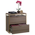 thumbnail image 4 of Sauder International Lux 2 Drawer Lateral File Cabinet in Diamond Ash, 4 of 11