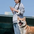 thumbnail image 4 of Handsfree Dog Leash Led Dog Leash Retractable Dog Leash With Flashlight Rechargeable 118in Round Handle Dog Leash With Lock Ergonomic Breathing Light Dog Leashes, 4 of 6