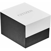 Citizen AR Eco-Drive Black Dial Men's Watch AW1151-04E