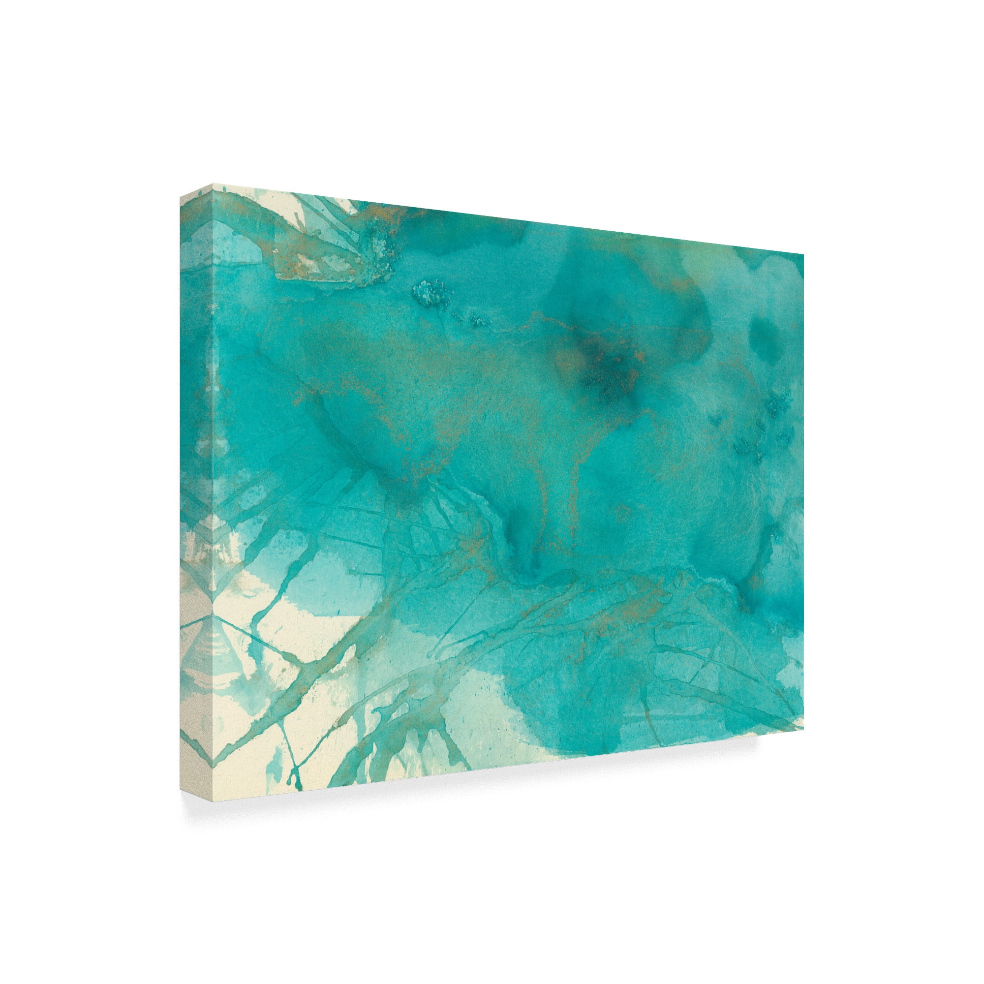 Trademark Fine Art 'Turquoise Moment I' Canvas Art by Joyce Combs