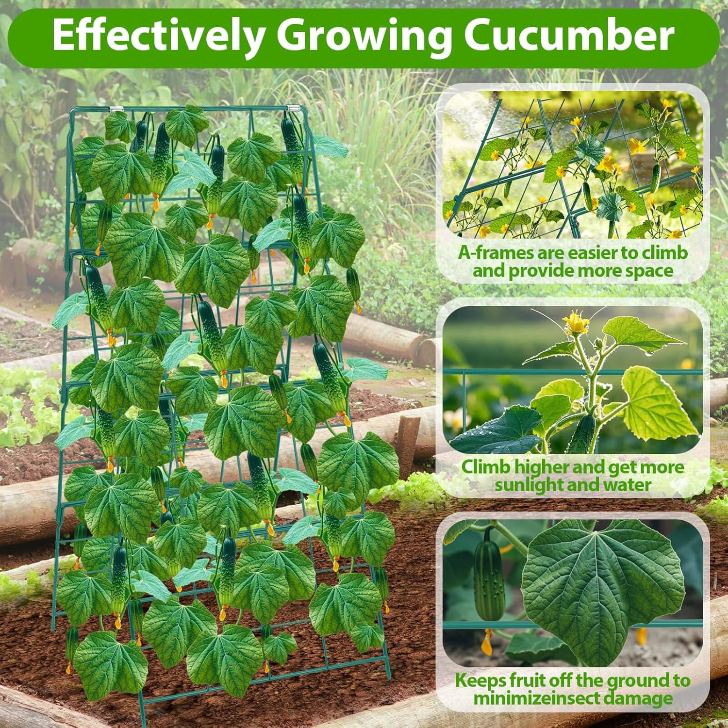 Cucumber Trellis for Raised Garden Bed, Outdoor Sturdy Metal A-Frame Cucumber Trellis Support for Climbing Plants Vegetables and Fruits with Accessories, Easy installation and Easy Harvesting