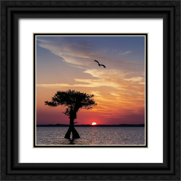 Pryor, Maresa 26x26 Black Ornate Wood Framed with Double Matting Museum Art Print Titled - Sunset on Blue Cypress Lake Conservation Area-Vero Beach-Florida