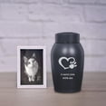 thumbnail image 1 of BELOVING Memorial Pets Urn Burial Memorial Ash Holder for Small Animals Rabbit Kitten B, 1 of 10