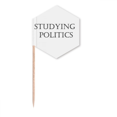 thumbnail image 1 of Short Phrase Studying Politics Toothpick Flags Cupcake Picks Party Celebration, 1 of 3