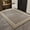 Belgian fleece doormat 2, variant on Belgian Pile 2x3 Feet Door Mat, Dirty Resistant Wear Resistant Slip Resistant Not Easy to Lose Hair, Household, High Density Woven Carpet, 1 Piece