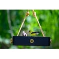 thumbnail image 4 of Birds Choice Modern Farmhouse Small Hanging Platform Bird Feeder, Black, 4 of 6