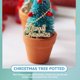 thumbnail image 5 of GOOHOCHY 2pcs mini árbol de Navidad mini casa decoración navideña mini accesorio de casa, 5 of 7