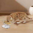 thumbnail image 4 of Gamelle Surélevée en Acier Inoxydable pour Chats et Chiens avec Base Robuste et Grande Capacité, Classification de Produit, Bols pour Chat et Chien, 4 of 5