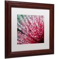 thumbnail image 2 of Trademark Fine Art "Pink Melody" Canvas Art by Beata Czyzowska Young, White Matte, Wood Frame, 2 of 4