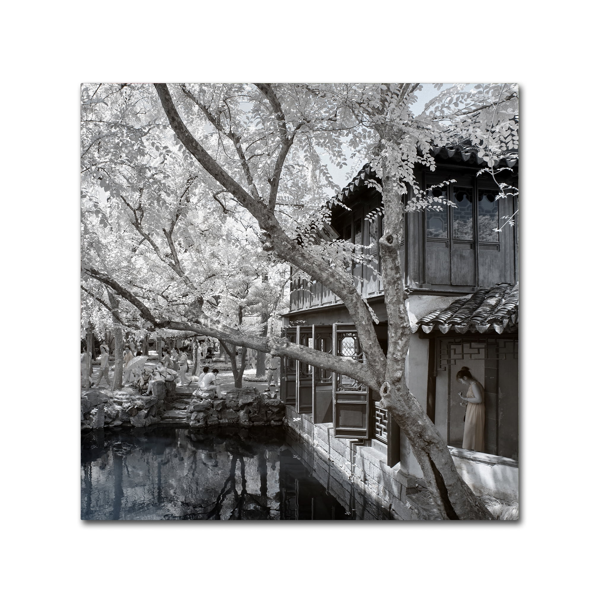 Trademark Fine Art "Reflections" Canvas Art by Philippe Hugonnard