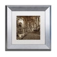thumbnail image 2 of Trademark Fine Art "Fiesole Giardini II" Canvas Art by Alan Blaustein, White Matte, Silver Frame, 2 of 4