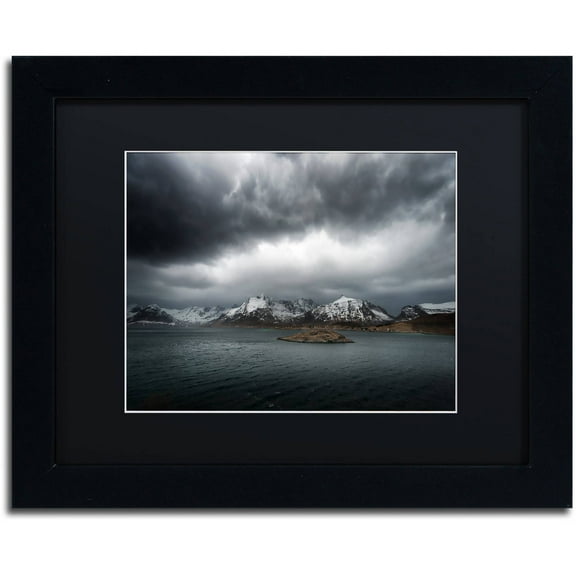 Trademark Fine Art "Grey" Canvas Art by Philippe Sainte-Laudy, Black Matte, Black Frame