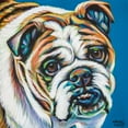 thumbnail image 2 of Vitaletti, Carolee 12x12 Black Ornate Wood Framed with Double Matting Museum Art Print Titled - Colorful Bulldog, 2 of 4