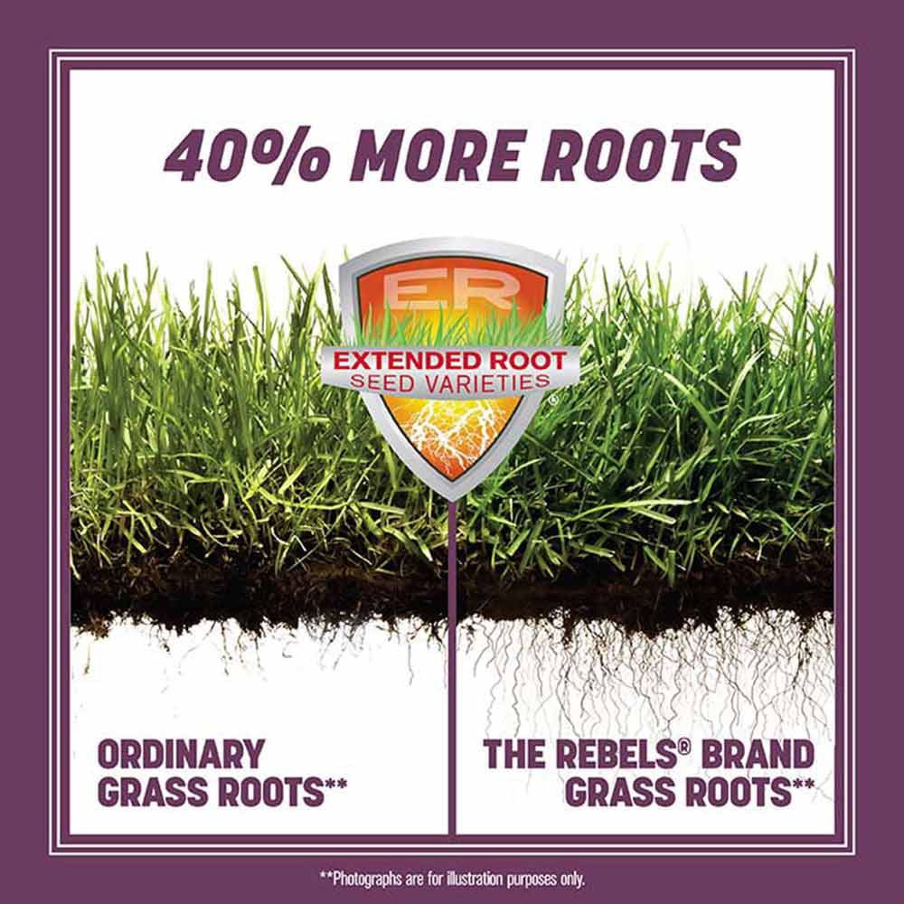 Pennington Rebels Fescue Shady Lawn Grass Seed 20 Pound, 2 Pack