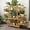 Yellow, variant on ShadeMart Bamboo A-Frame Plant Shelf Stand 9 Tier for Indoor and Outdoor Useï¼Green