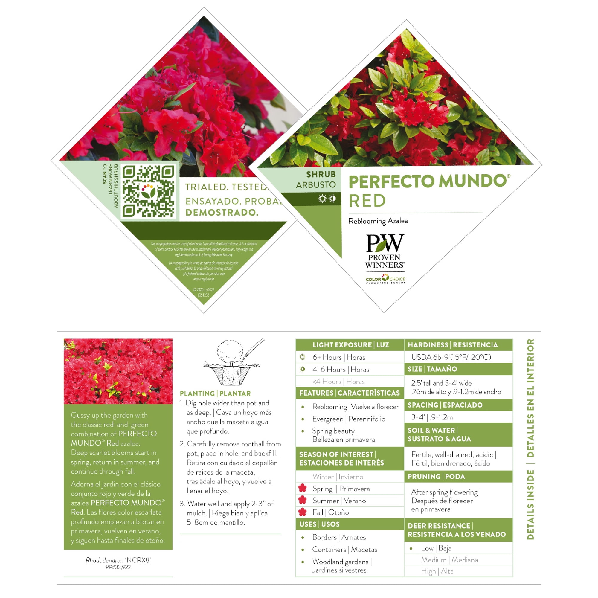 Proven Winners ColorChoice Perfecto Mundo Red Azalea Live Shrub (2 Gallon)