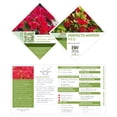 thumbnail image 6 of Proven Winners ColorChoice Perfecto Mundo Red Azalea Live Shrub (2 Gallon), 6 of 10