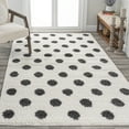 thumbnail image 5 of JONATHAN Y MOROCCAN HYPE 5 x 8 Area Rug, Pere Charcoal Dot Shag - White/Gray, MOH411A-5, 5 of 10
