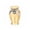 Golden, variant on KGJQ Aluminum Alloy Pet Ash Urn, Angel Wing Tree of Life Pet Cremation Keepsake Jar, Waterproof Memorial Urn for Cats & Dogs