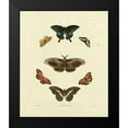 thumbnail image 2 of Knorr 20x23 Black Modern Framed Museum Art Print Titled - Knorr Butterflies III, 2 of 5