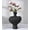 D-11"h-antique Black, variant on Ceramic Flower Vase D-11"h-antique Black Home Decor