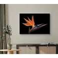 thumbnail image 2 of wall26 Canvas Wall Art A Full Bloom Orange, Blue and Pink Bird of Paradise Floral Flower Photography Modern Art Romantics Closeup Colorful for Living Room, Bedroom, Office, 2 of 5