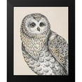 thumbnail image 2 of Brissonnet, Daphne 12x14 Black Modern Framed Museum Art Print Titled - Beautiful Owls IV Vintage, 2 of 5