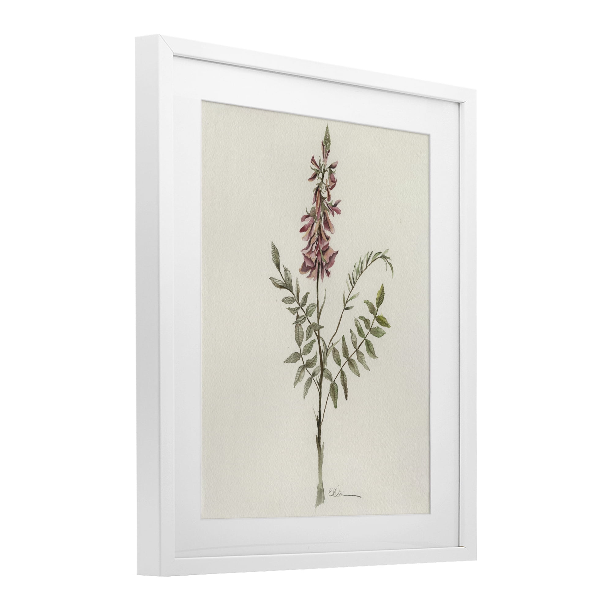 Stupell Industries Nature's Delicate Herb Sprig White Framed Print Under Glass, design by Cady Driver