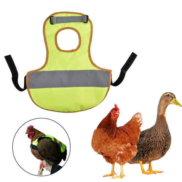Chicken reflective deals vest