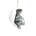 thumbnail image 1 of Arte del hierro Siéntese en la luna Adorno de luna de perro encantador para amantes de los perros Colgante de árbol de Navidad Wmkox8yii gf6352, 1 of 4