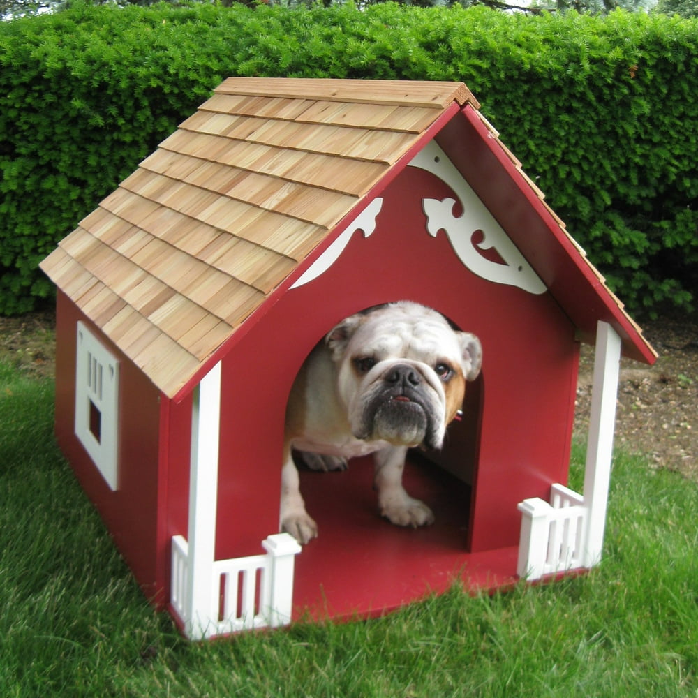 Новый dog house