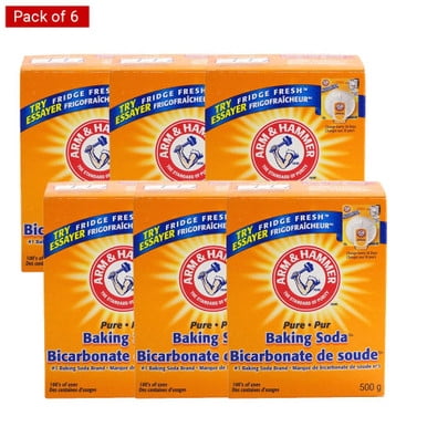 Arm & Hammer Pure Baking Soda, 500g/1lb (6 Pack)