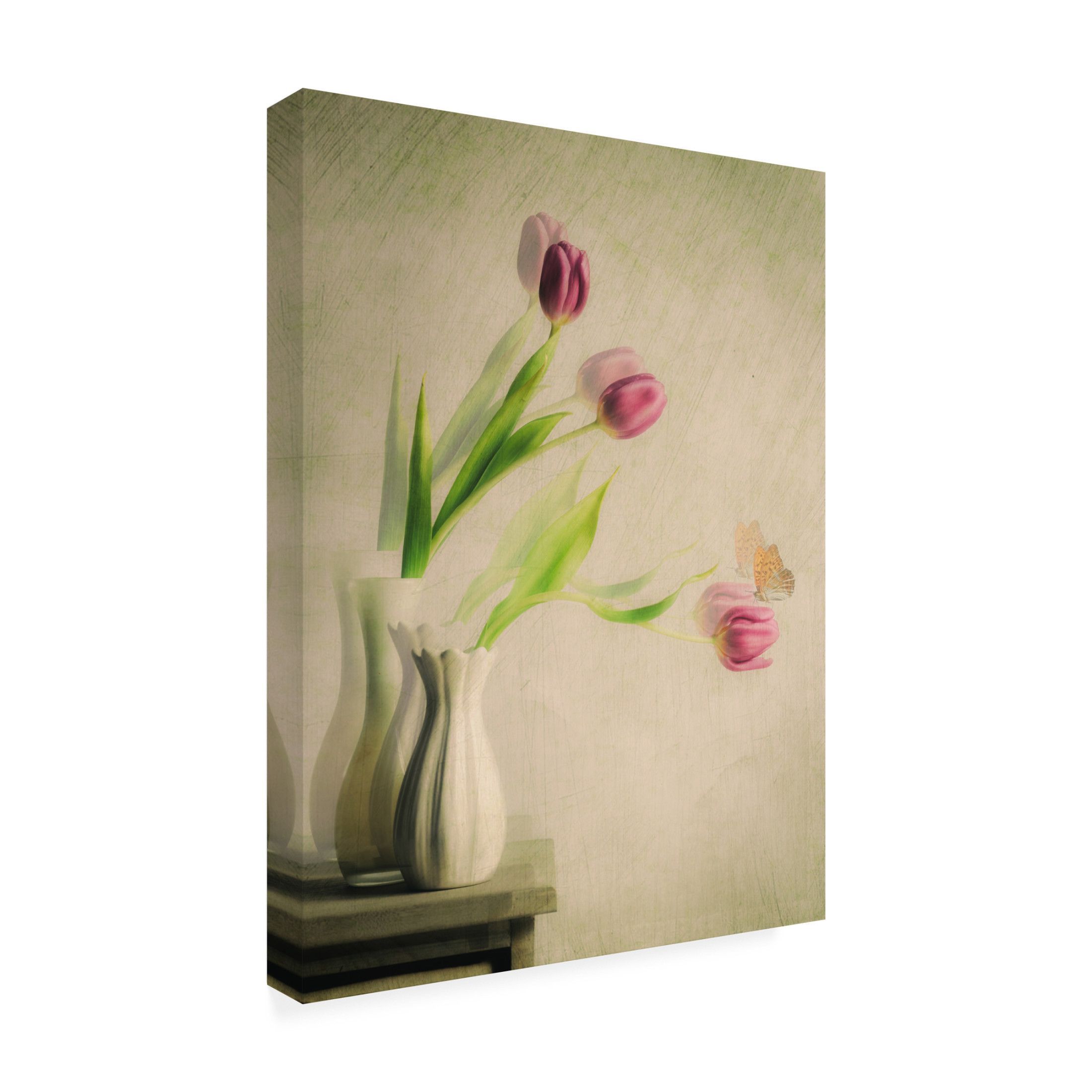 Canvas Wall Art - Cristiano Giani 'Doubts And Certainties' Wall Art for Living Room, Bedroom, or Office Décor by Trademark Fine Art - 24 x 32 Inches