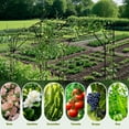 thumbnail image 4 of Grape Vine Trellis - Size: 78.8 * 78.5 * 59 inches - Large Outdoor Garden Arch Trellis, Used for Outdoor Climbing of Plants, Courtyard and Garden Decoration of Pavilions (Black), 4 of 6