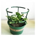thumbnail image 6 of 2/4/8PCS Plastic Plant Support Pile Frame Greenhouse Arrangement Semicircle Fixed Rod Indoor Flower Plant Vine Climbing Bracket, 6 of 10