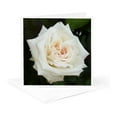 thumbnail image 5 of 3drose, White Rose - Marriage, Wedding, Wedding Day, Save the Date, Engagement, Bridal Shower, Rose, 12 Greeting Cards with Envelopes, 5 of 7