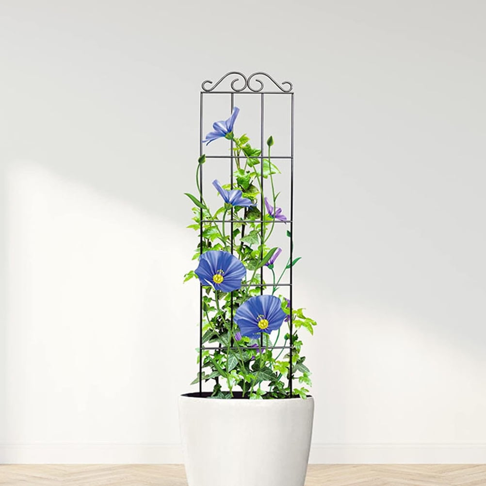 LABSERRON Climbing Plant Frame Trellis Support Black 4pcs