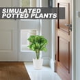 thumbnail image 4 of Plantas falsas Hojas artificiales de sandía Planta en maceta Simulación Plantas en maceta Decoración, 4 of 6