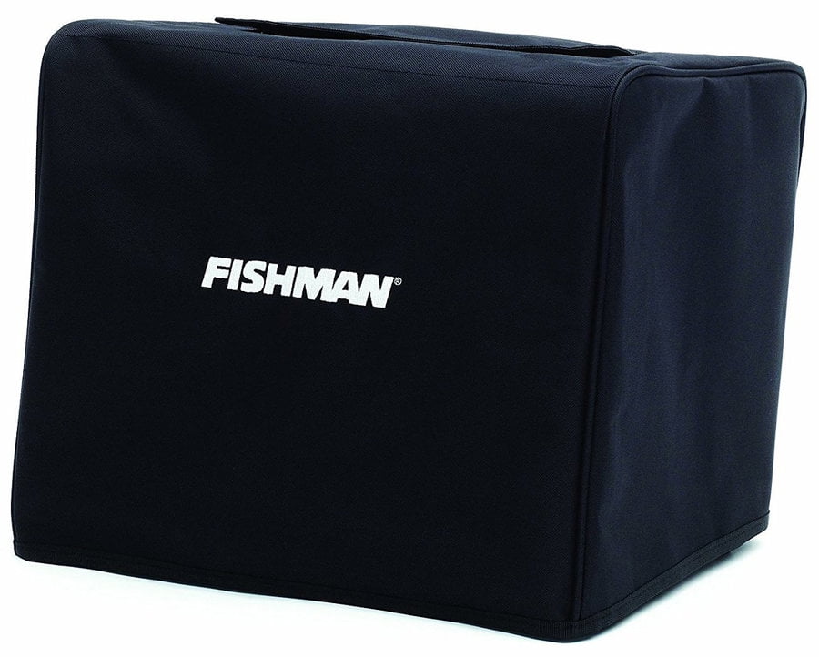 fishman loudbox 100 open box