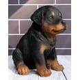 thumbnail image 6 of Ebros Lifelike Realistic Sitting Rottie Rottweiler Puppy Dog Statue 6.25" Tall, 6 of 7